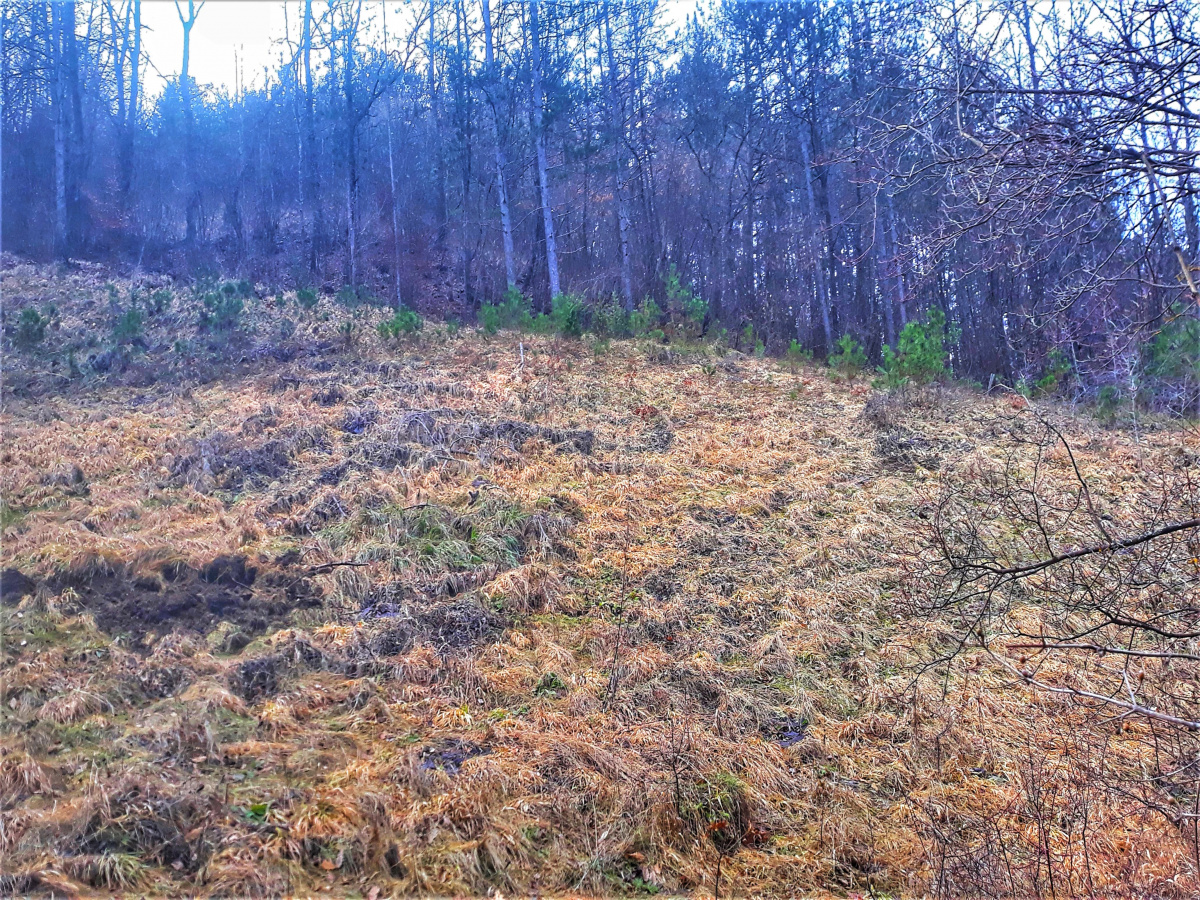 Zemljište, Prodaja - Ponuda, Listing ID 1640, Mokra Gora, Užice, Srbija,