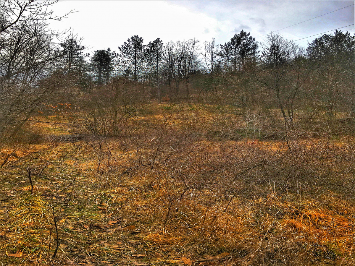 Zemljište, Prodaja - Ponuda, Listing ID 1640, Mokra Gora, Užice, Srbija,