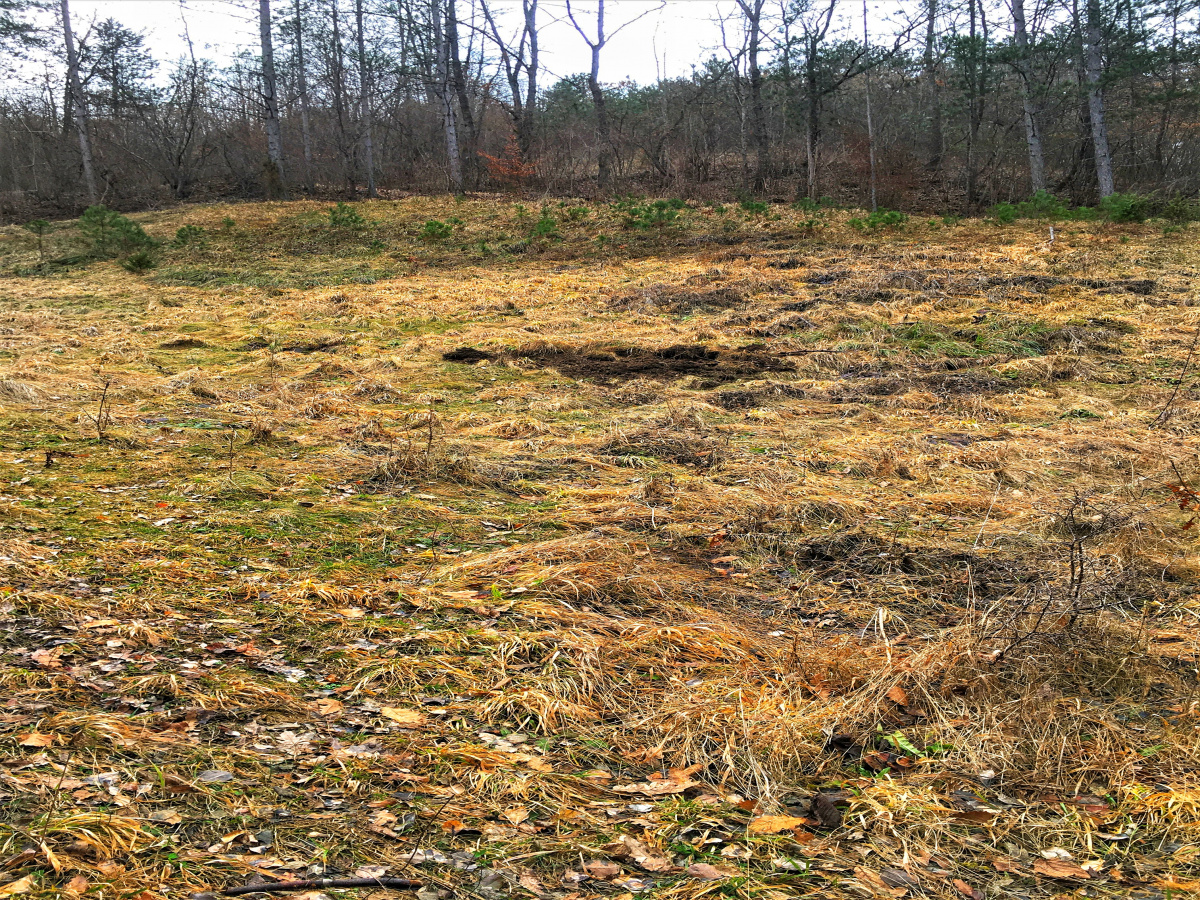 Zemljište, Prodaja - Ponuda, Listing ID 1640, Mokra Gora, Užice, Srbija,