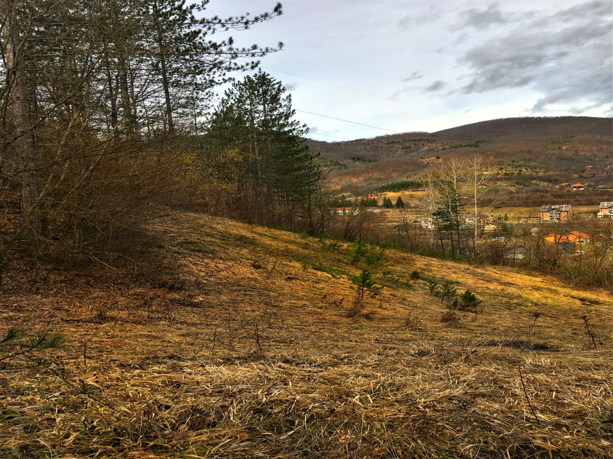 Zemljište, Prodaja - Ponuda, Listing ID 1640, Mokra Gora, Užice, Srbija,