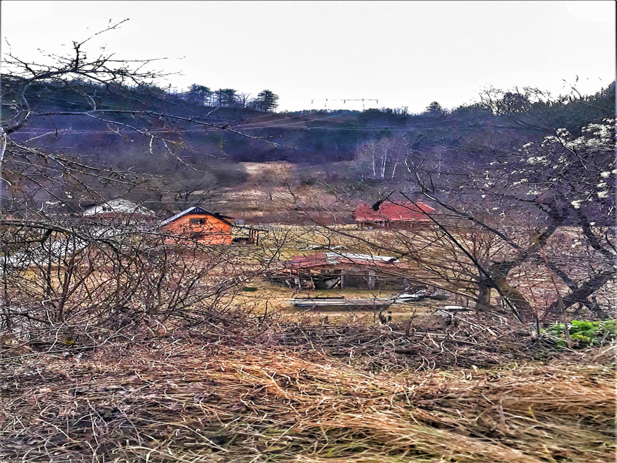 Zemljište, Prodaja - Ponuda, Listing ID 1641, Mokra Gora, Užice, Srbija,