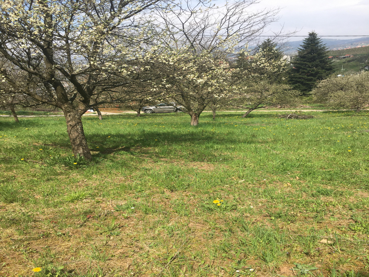 Zemljište, Prodaja - Ponuda, Listing ID 1656, Mendino brdo, Užice, Srbija,