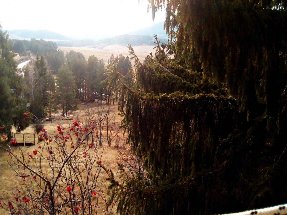 Kuća, Prodaja - Ponuda, Listing ID 1721, Smiljanski zakosi, Zlatibor, Srbija,