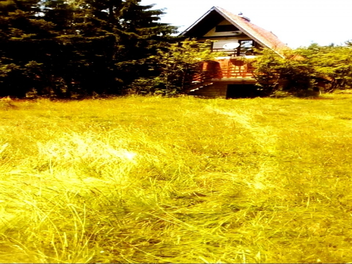 Kuća, Prodaja - Ponuda, Listing ID 1721, Smiljanski zakosi, Zlatibor, Srbija,