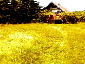 Kuća, Prodaja - Ponuda, Listing ID 1721, Smiljanski zakosi, Zlatibor, Srbija,