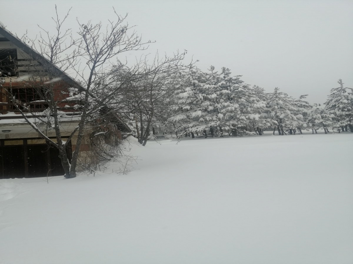 Kuća, Prodaja - Ponuda, Listing ID 1721, Smiljanski zakosi, Zlatibor, Srbija,