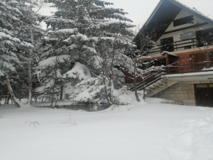 Kuća, Prodaja - Ponuda, Listing ID 1721, Smiljanski zakosi, Zlatibor, Srbija,