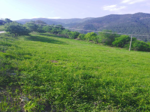 Mokra Gora, Užice, Srbija, ,Zemljište,Prodaja - Ponuda,1733