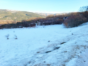 Mokra Gora, Užice, Srbija, ,Zemljište,Prodaja - Ponuda,1733