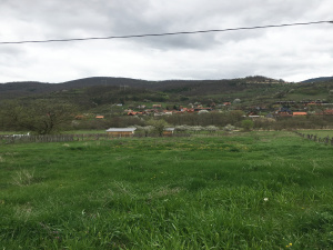 Zemljište, Prodaja - Ponuda, Listing ID 1741, Mokra Gora, Tara, Srbija,