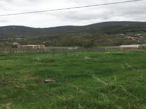 Zemljište, Prodaja - Ponuda, Listing ID 1741, Mokra Gora, Tara, Srbija,