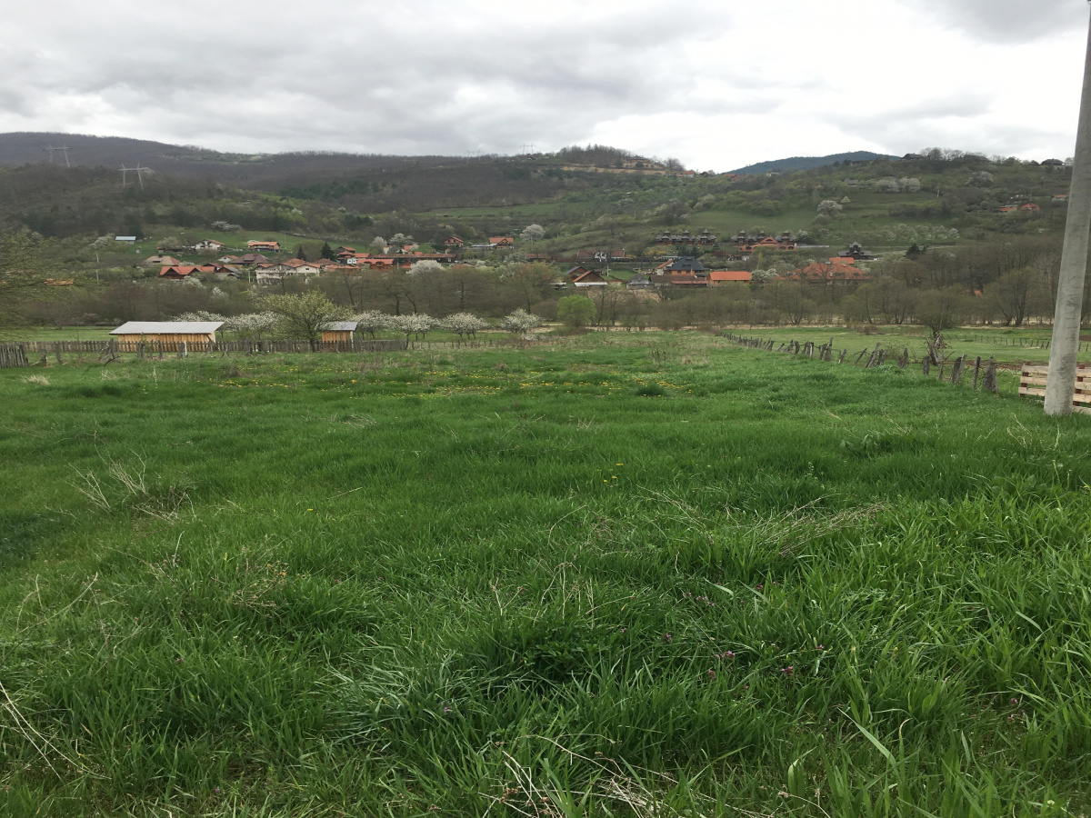 Zemljište, Prodaja - Ponuda, Listing ID 1741, Mokra Gora, Tara, Srbija,