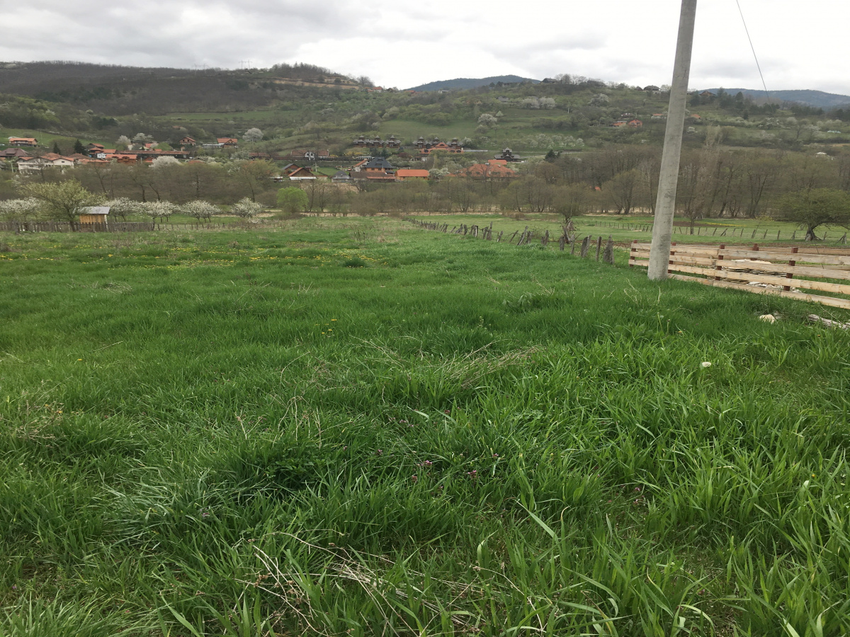Zemljište, Prodaja - Ponuda, Listing ID 1741, Mokra Gora, Tara, Srbija,