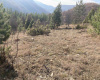 Zemljište, Prodaja - Ponuda, Listing ID 1772, Mokra Gora, Tara, Srbija,