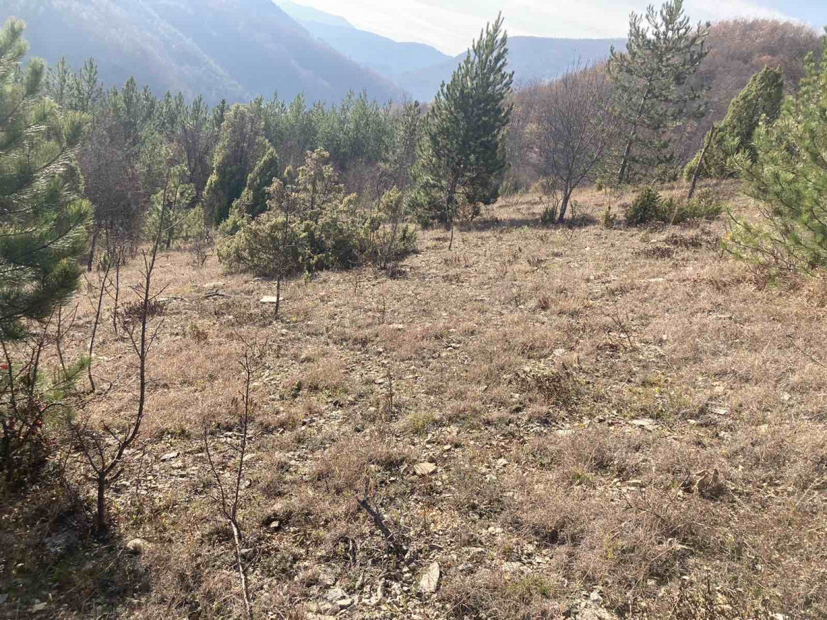 Zemljište, Prodaja - Ponuda, Listing ID 1772, Mokra Gora, Tara, Srbija,