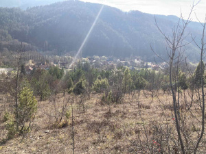 Zemljište, Prodaja - Ponuda, Listing ID 1772, Mokra Gora, Tara, Srbija,