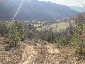 Zemljište, Prodaja - Ponuda, Listing ID 1772, Mokra Gora, Tara, Srbija,