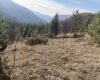 Zemljište, Prodaja - Ponuda, Listing ID 1772, Mokra Gora, Tara, Srbija,