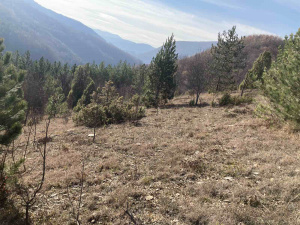 Zemljište, Prodaja - Ponuda, Listing ID 1772, Mokra Gora, Tara, Srbija,