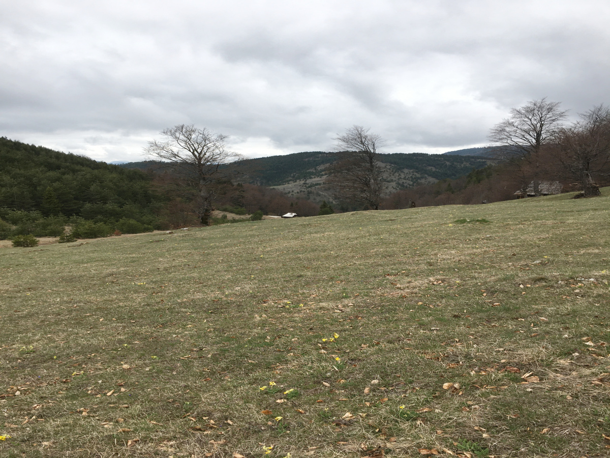 Mokra Gora, Užice, Srbija, ,Zemljište,Prodaja - Ponuda,1773