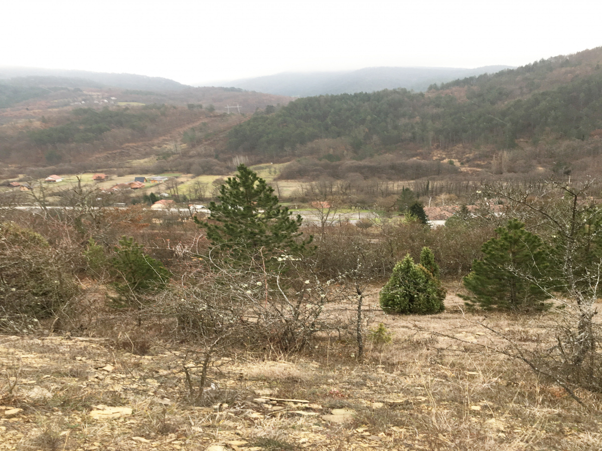 Mokra Gora, Užice, Srbija, ,Zemljište,Prodaja - Ponuda,1773