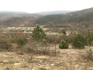 Mokra Gora, Užice, Srbija, ,Zemljište,Prodaja - Ponuda,1773