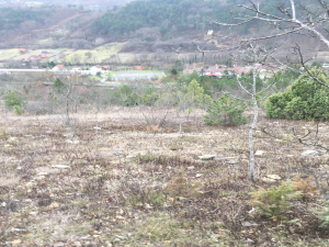 Mokra Gora, Užice, Srbija, ,Zemljište,Prodaja - Ponuda,1773