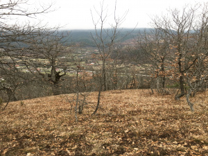 Mokra Gora, Užice, Srbija, ,Zemljište,Prodaja - Ponuda,1773