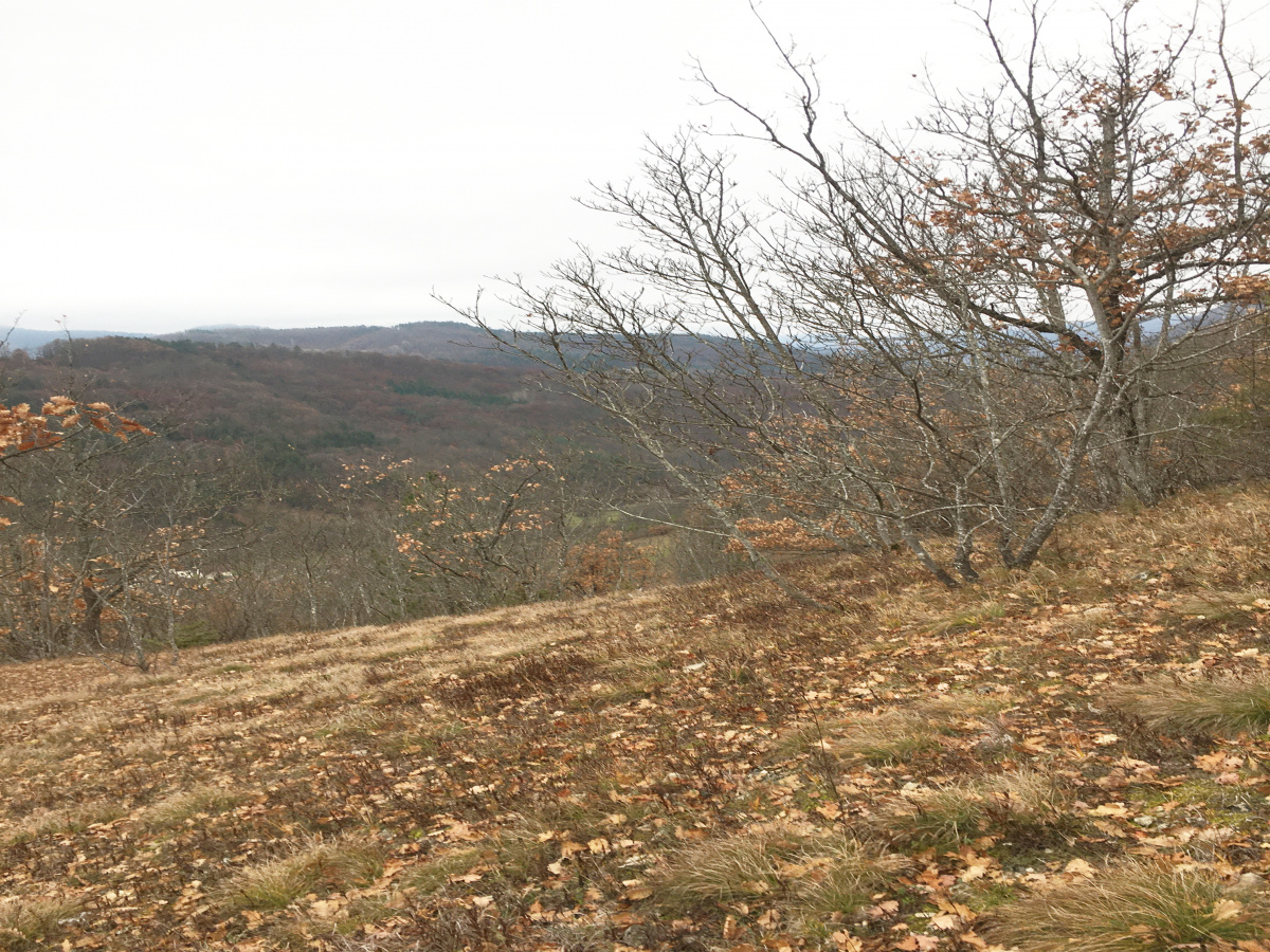 Mokra Gora, Užice, Srbija, ,Zemljište,Prodaja - Ponuda,1773