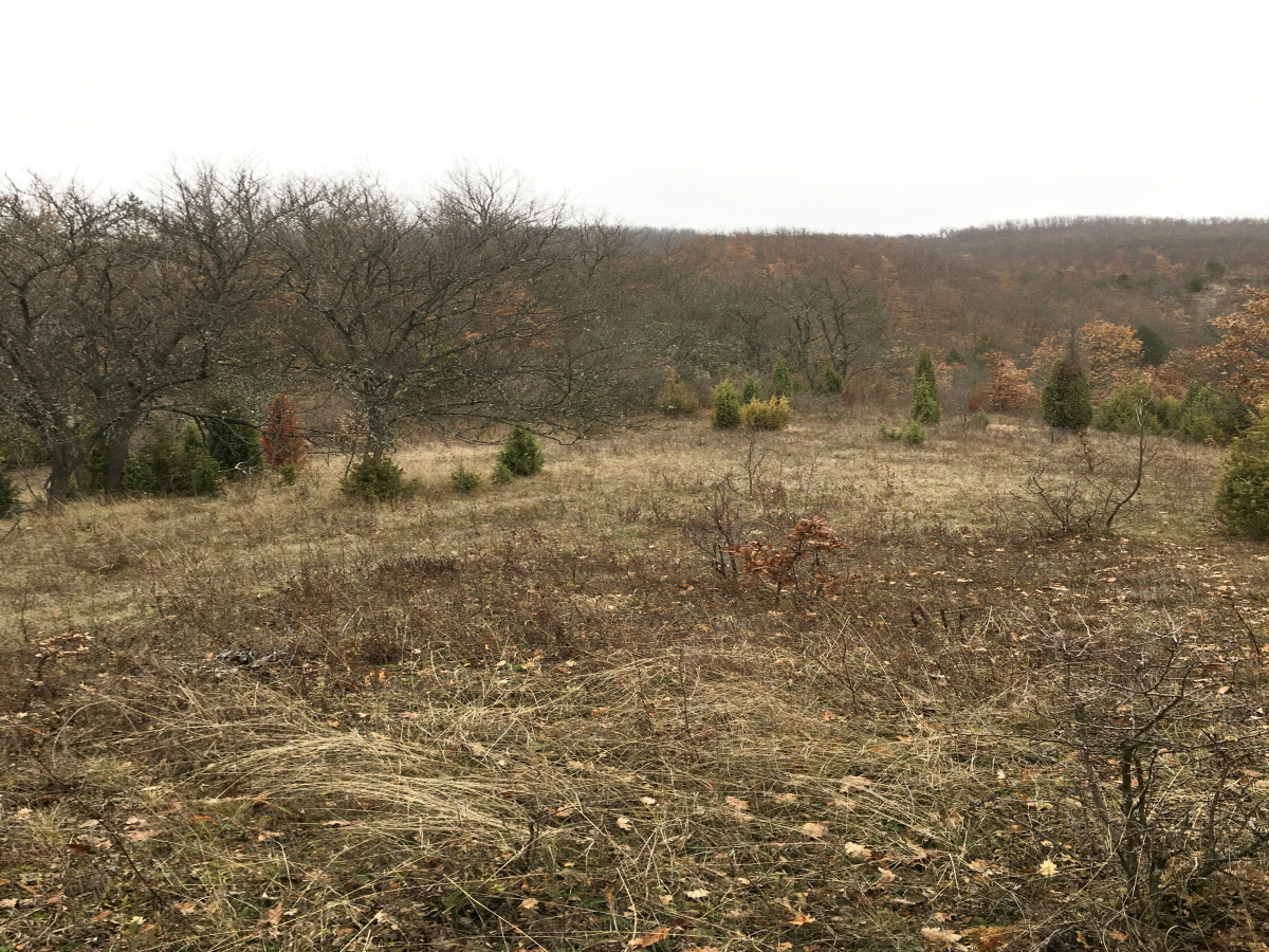 Mokra Gora, Užice, Srbija, ,Zemljište,Prodaja - Ponuda,1773