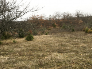 Mokra Gora, Užice, Srbija, ,Zemljište,Prodaja - Ponuda,1773