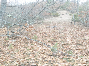 Mokra Gora, Užice, Srbija, ,Zemljište,Prodaja - Ponuda,1773