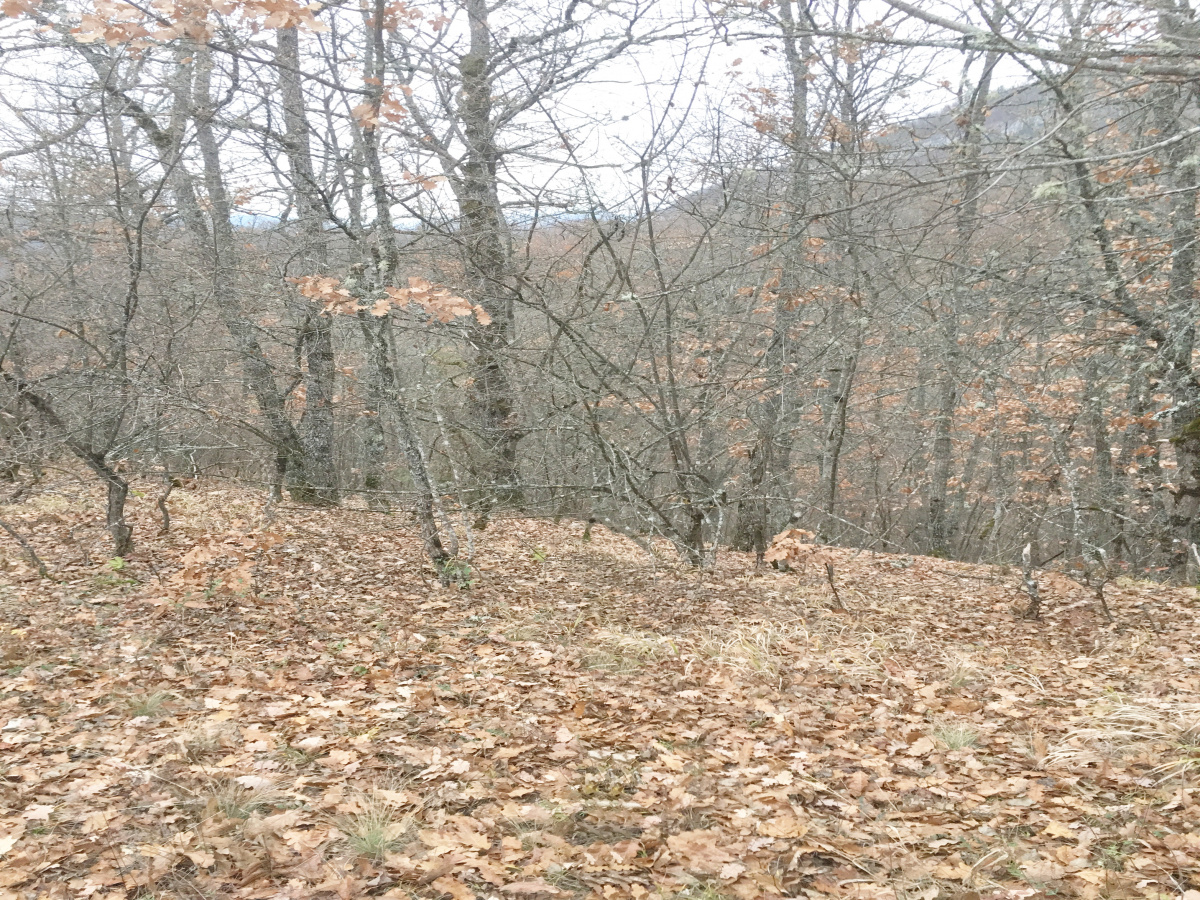 Mokra Gora, Užice, Srbija, ,Zemljište,Prodaja - Ponuda,1773