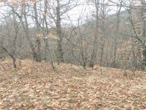 Mokra Gora, Užice, Srbija, ,Zemljište,Prodaja - Ponuda,1773