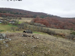 Mokra Gora, Užice, Srbija, ,Zemljište,Prodaja - Ponuda,1776