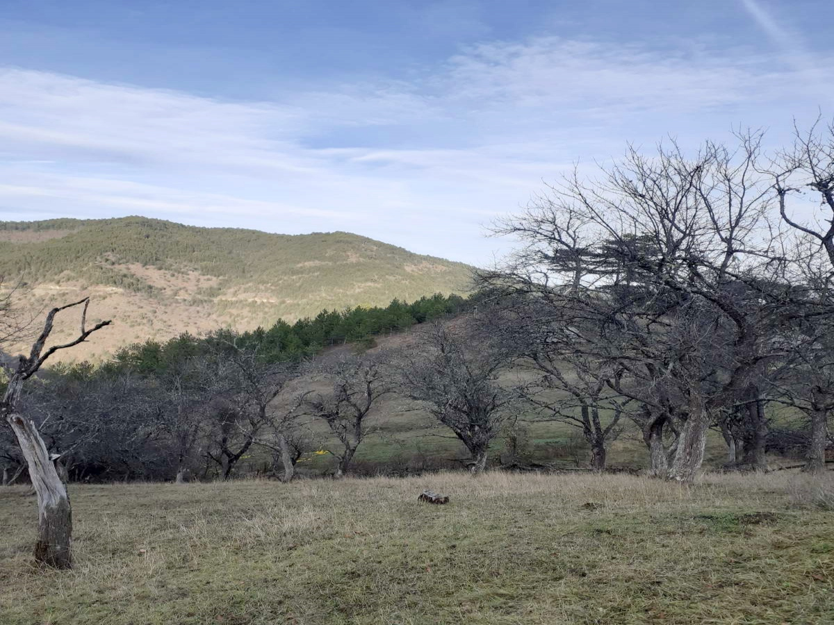 Mokra Gora, Užice, Srbija, ,Zemljište,Prodaja - Ponuda,1776
