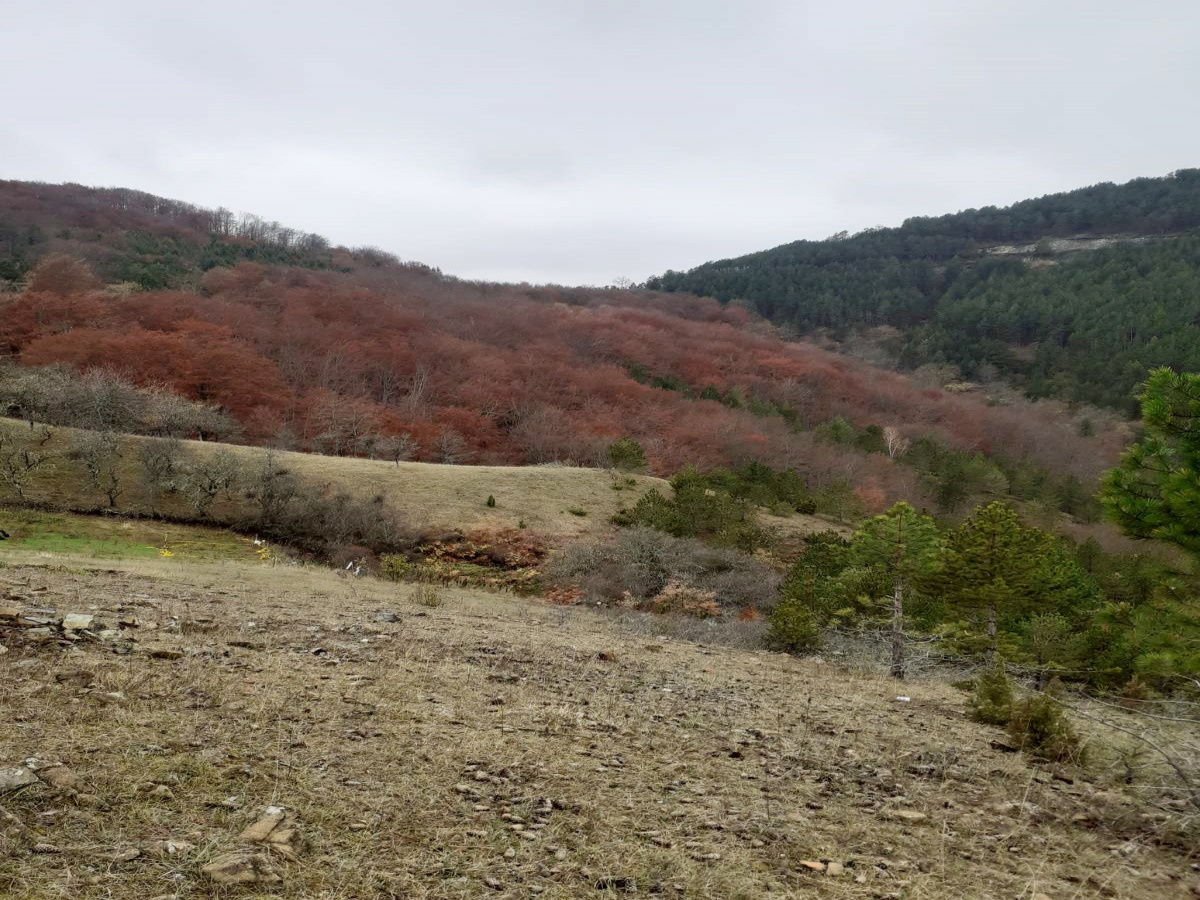 Mokra Gora, Užice, Srbija, ,Zemljište,Prodaja - Ponuda,1776