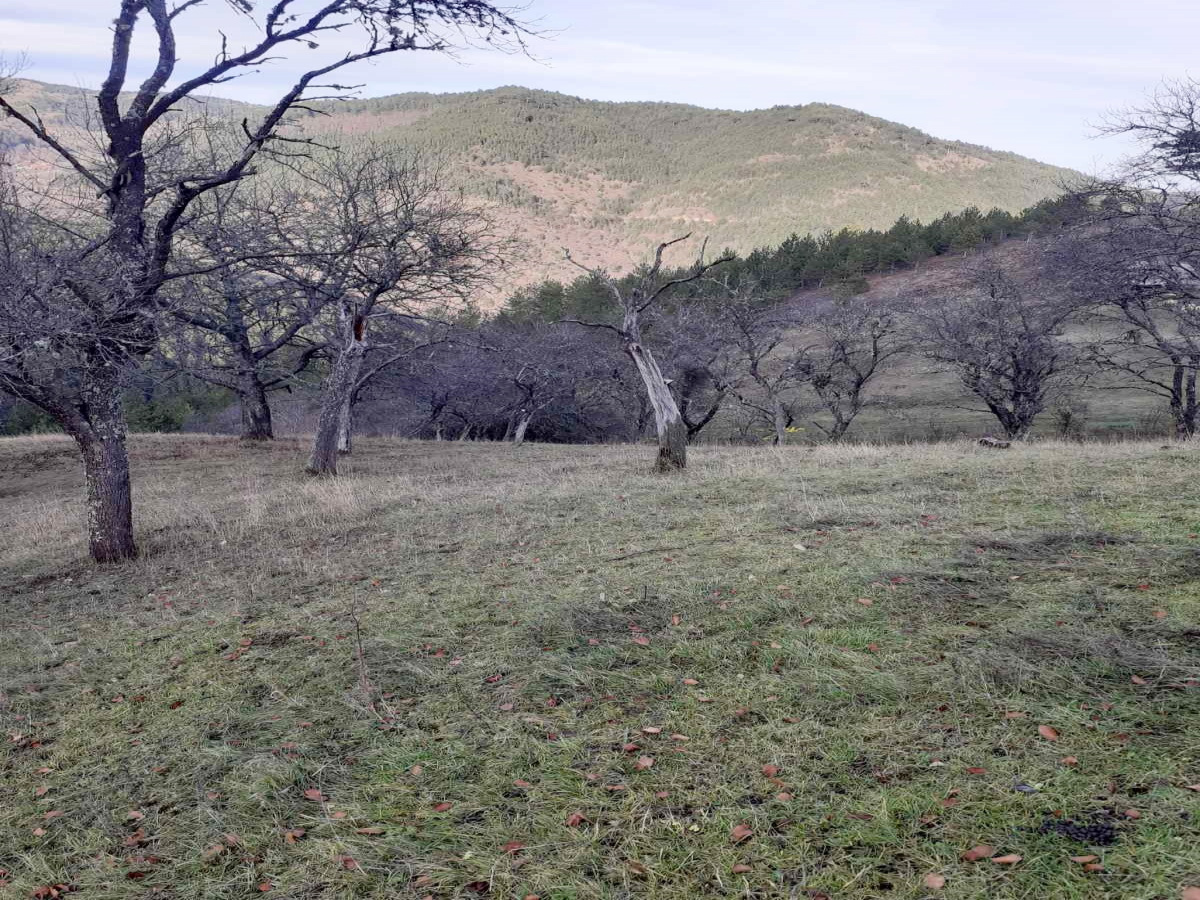 Mokra Gora, Užice, Srbija, ,Zemljište,Prodaja - Ponuda,1776