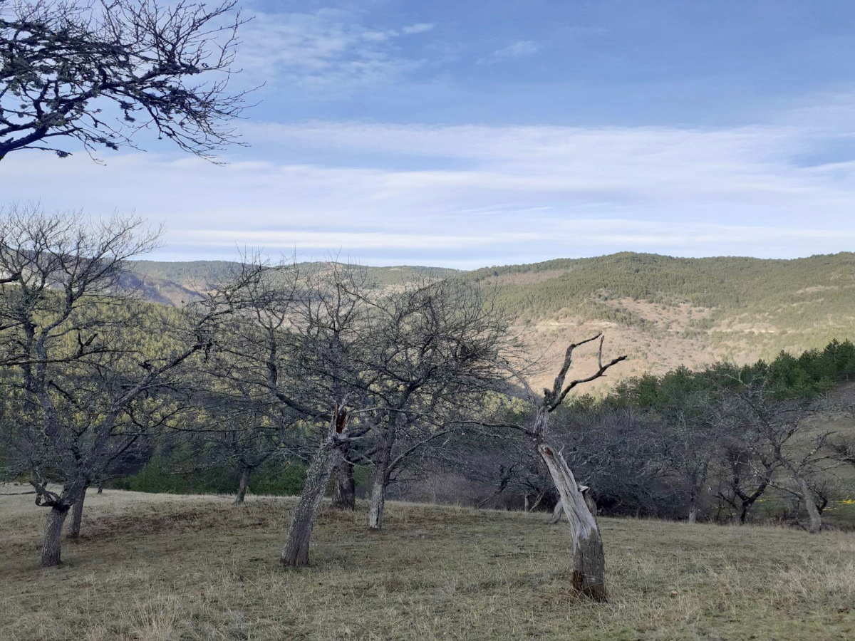 Mokra Gora, Užice, Srbija, ,Zemljište,Prodaja - Ponuda,1776