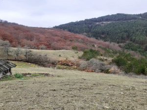 Mokra Gora, Užice, Srbija, ,Zemljište,Prodaja - Ponuda,1776