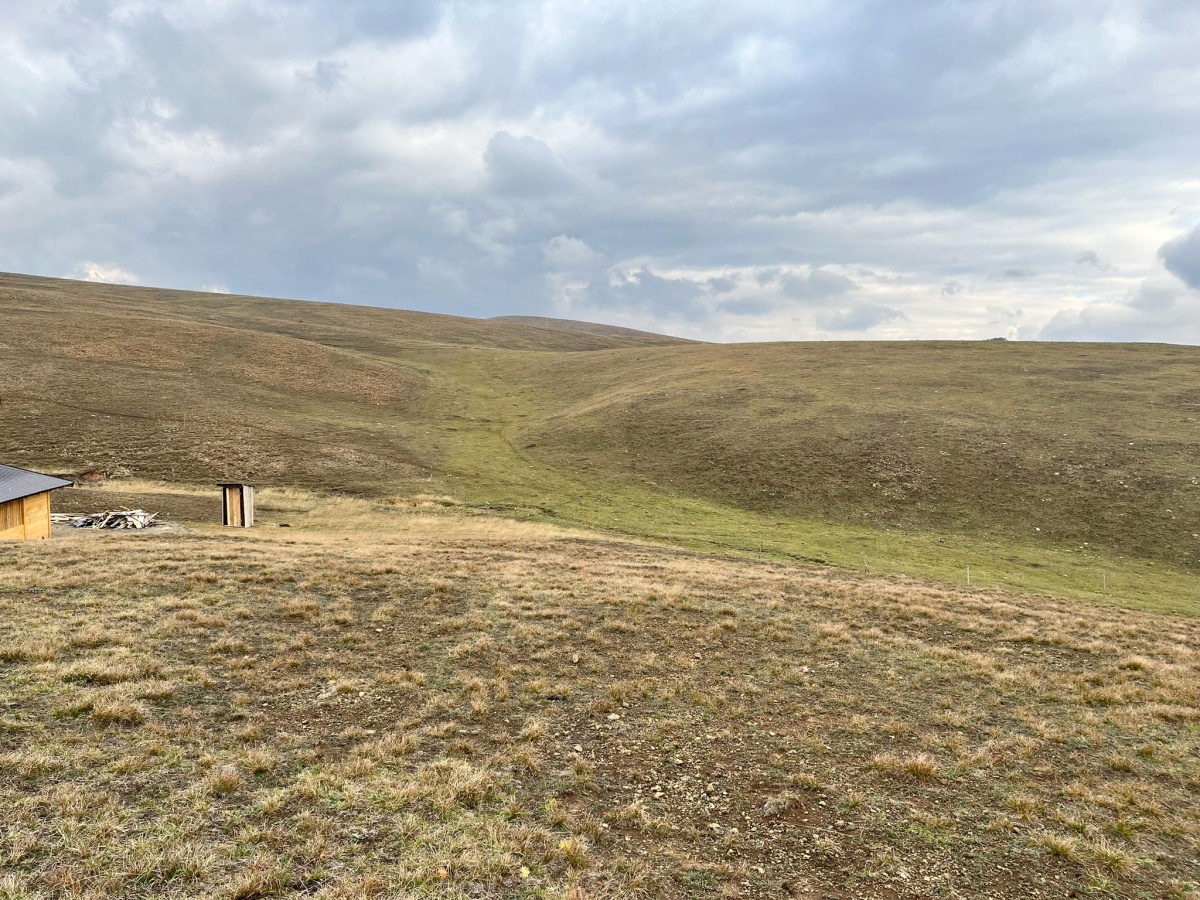 Gajevi, Zlatibor, Srbija, ,Zemljište,Prodaja - Ponuda,1778