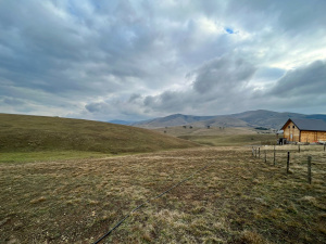 Gajevi, Zlatibor, Srbija, ,Zemljište,Prodaja - Ponuda,1778