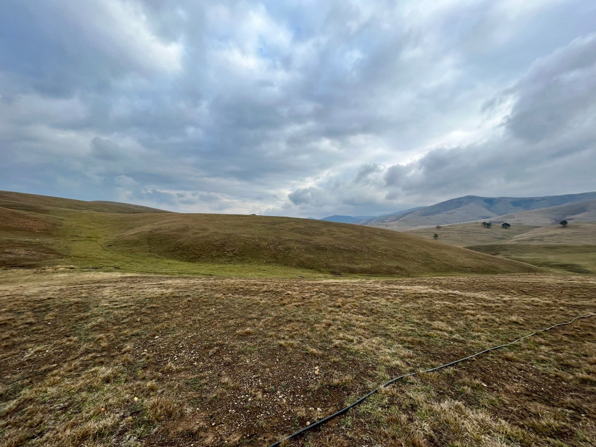 Gajevi, Zlatibor, Srbija, ,Zemljište,Prodaja - Ponuda,1778