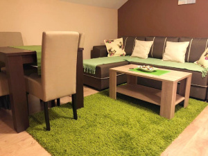 Obudojevica, Zlatibor, Srbija, 7 Spavaće sobe Spavaće sobe, ,5 BathroomsBathrooms,Vila,Prodaja - Ponuda,1,1810