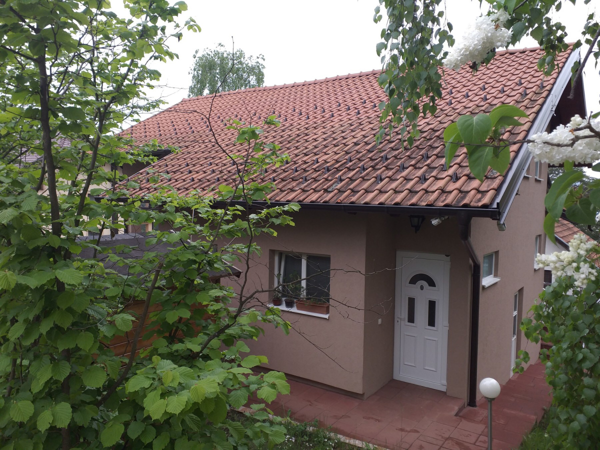 Obudojevica, Zlatibor, Srbija, 7 Spavaće sobe Spavaće sobe, ,5 BathroomsBathrooms,Vila,Prodaja - Ponuda,1,1810