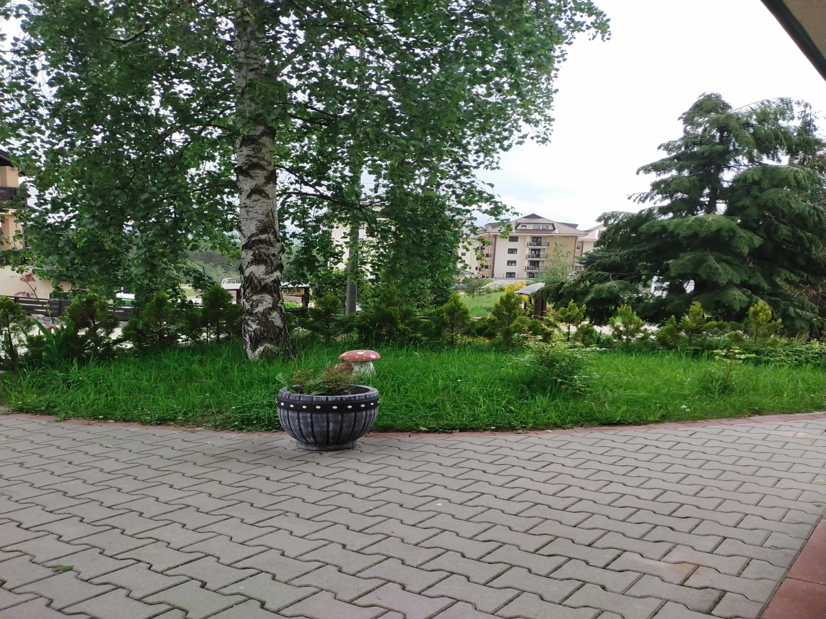 Obudojevica, Zlatibor, Srbija, 7 Spavaće sobe Spavaće sobe, ,5 BathroomsBathrooms,Vila,Prodaja - Ponuda,1,1810