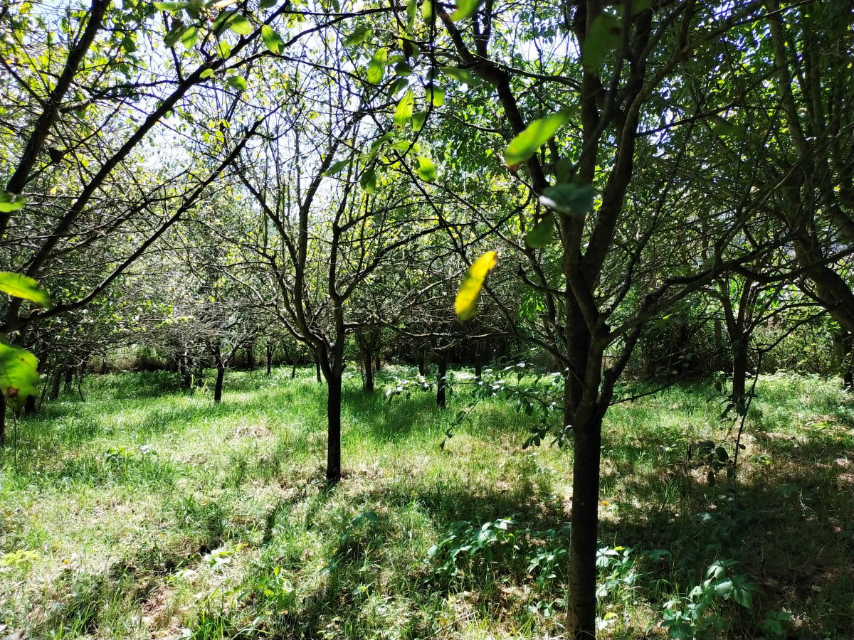 Okletac, Bajina Bašta, Srbija, ,Kuća,Prodaja - Ponuda,1822