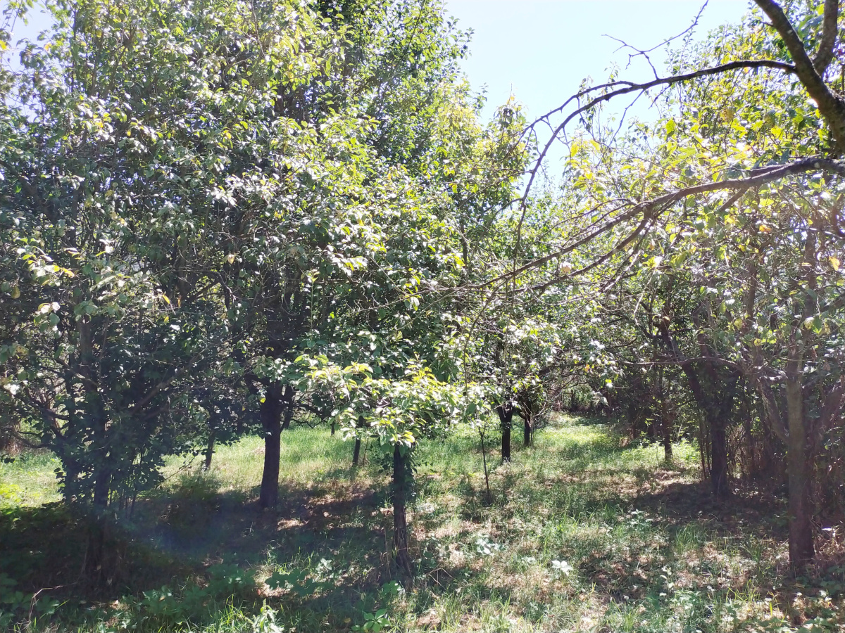 Okletac, Bajina Bašta, Srbija, ,Kuća,Prodaja - Ponuda,1822