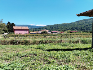 Okletac, Bajina Bašta, Srbija, ,Kuća,Prodaja - Ponuda,1822