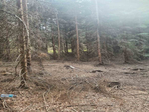 Tara, Srbija, ,Zemljište,Prodaja - Ponuda,1824